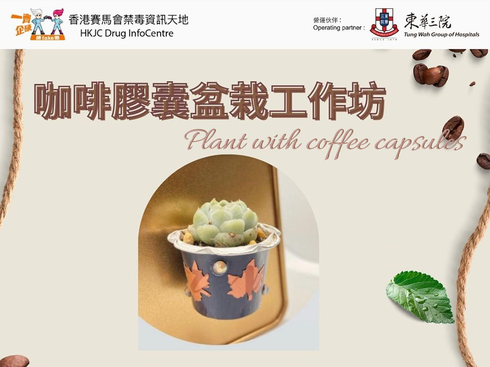 Plant with coffee capsules